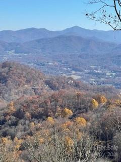 Property image 3 at Lot 93 Wandering Trail, Waynesville, NC 28785