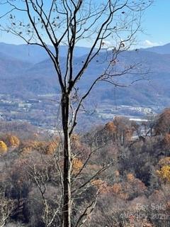 Property image 4 at Lot 93 Wandering Trail, Waynesville, NC 28785