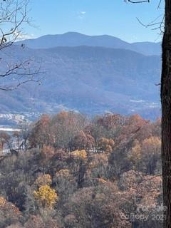 Property image 5 at Lot 93 Wandering Trail, Waynesville, NC 28785