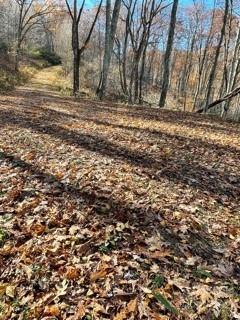 Property image 2 at Lot 103 Avalon Gap Trail, Waynesville, NC 28785