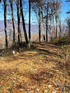 Property image 3 at Lot 103 Avalon Gap Trail, Waynesville, NC 28785