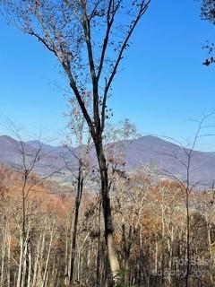 Property image 2 at Lot 104 Avalon Gap Trail, Waynesville, NC 28785