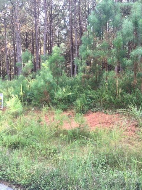 Property image 2 at 0 Moore Mountain Lane, Ellenboro, NC 28040