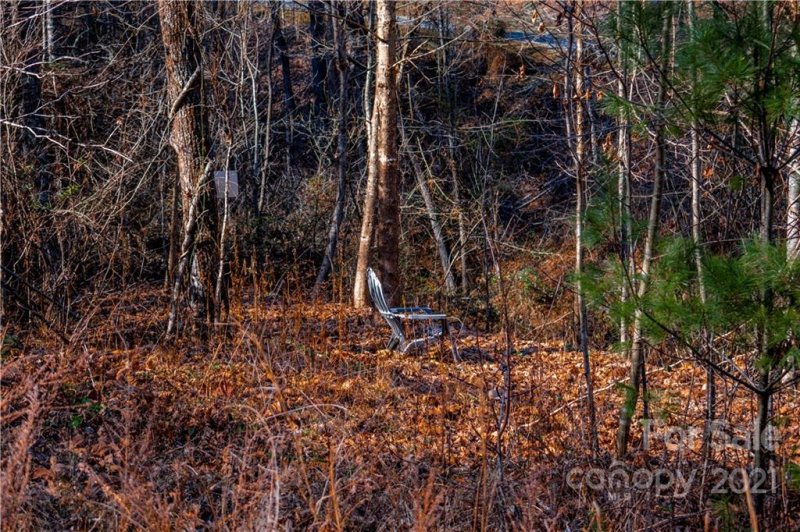 Property image 3 at 5 Acres Mearwild Drive, Marshall, NC 28753