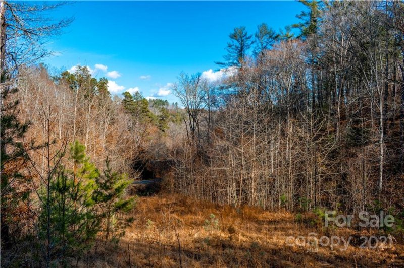 Property image 4 at 5 Acres Mearwild Drive, Marshall, NC 28753
