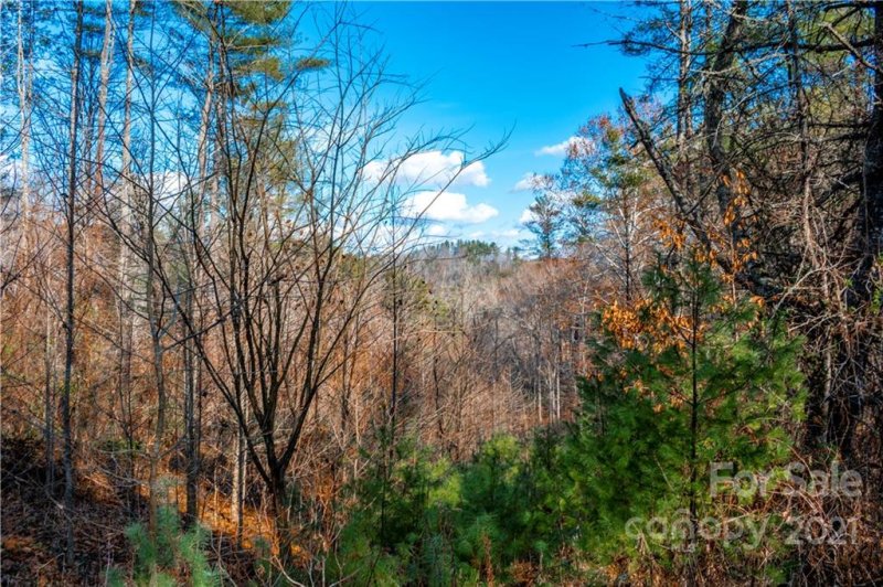 Property image 5 at 5 Acres Mearwild Drive, Marshall, NC 28753