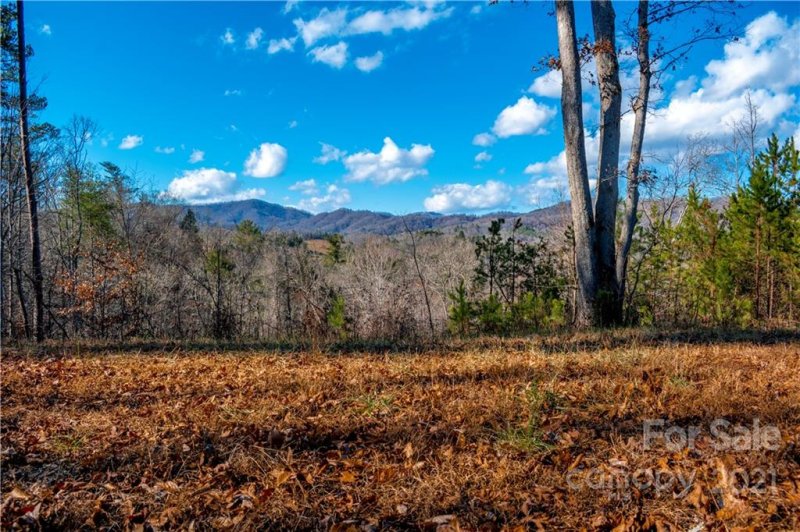 9 29 Acres Mearwild Drive