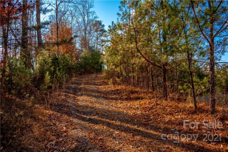Property image 3 at 9 29 Acres Mearwild Drive, Marshall, NC 28753