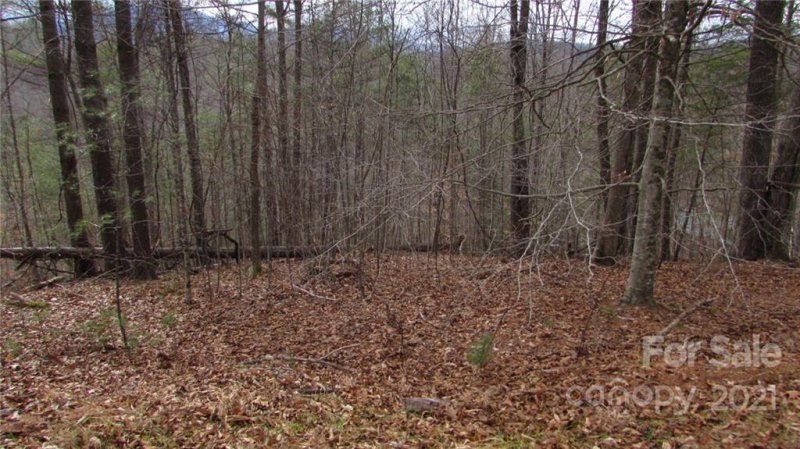 Property image 2 at 00 High Peak Drive, Burnsville, NC 28714