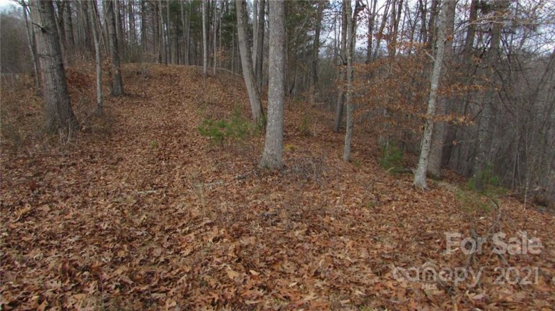 Property image 5 at 00 High Peak Drive, Burnsville, NC 28714