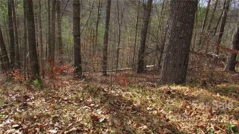 Property image 2 at 00 High Peak Drive, Burnsville, NC 28714