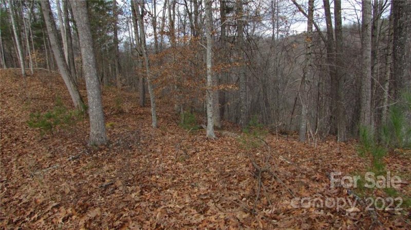 Property image 4 at 00 High Peak Drive, Burnsville, NC 28714