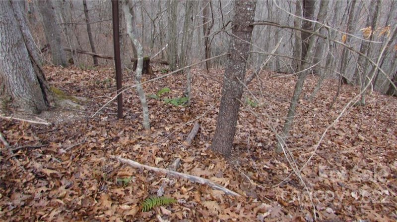 Property image 3 at 00 High Peak Drive, Burnsville, NC 28714