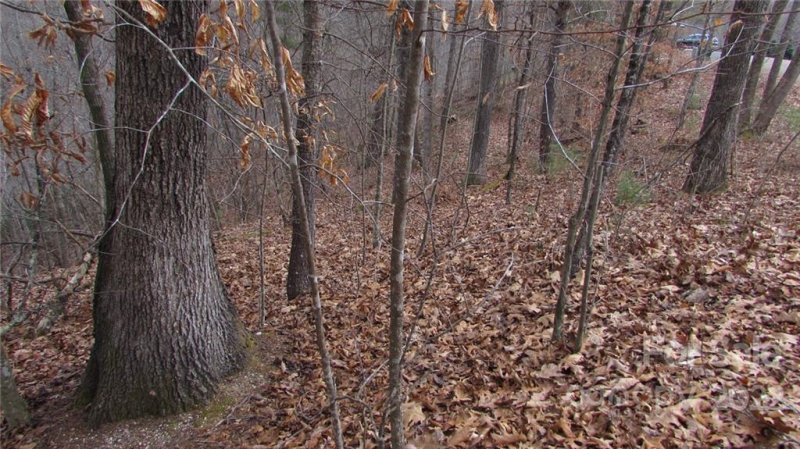 Property image 4 at 00 High Peak Drive, Burnsville, NC 28714