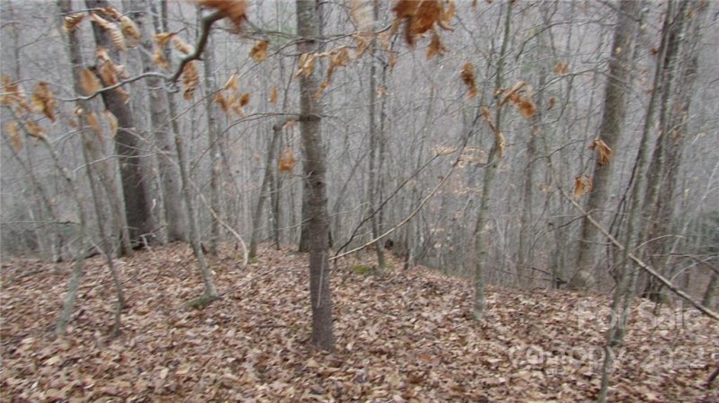 Property image 5 at 00 High Peak Drive, Burnsville, NC 28714