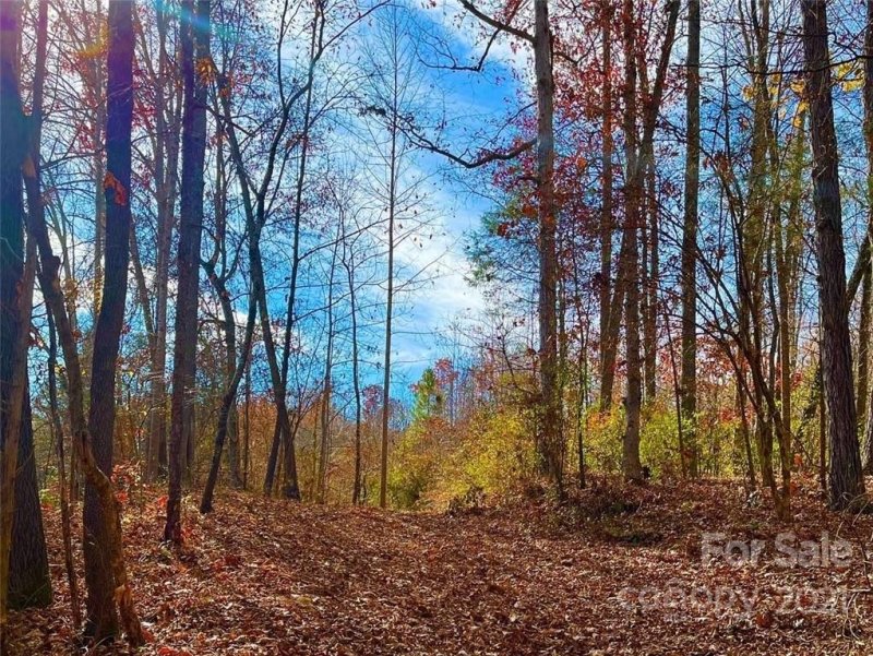 Property image 2 at 129 Addison Emery Lane, Mooresville, NC 28115