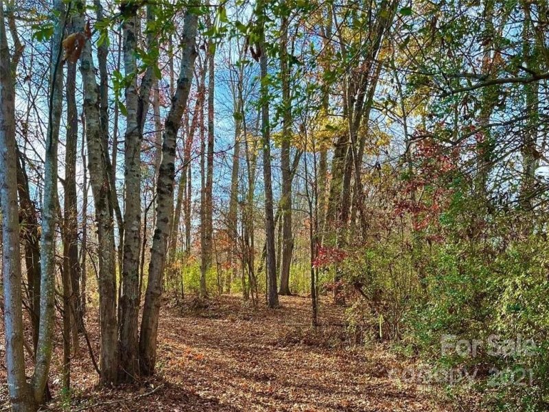 Property image 3 at 141 Addison Emery Lane, Mooresville, NC 28115