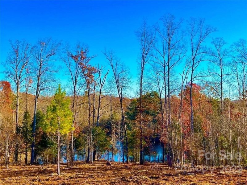 Property image 5 at 135 Wilharr Court, Mooresville, NC 28115