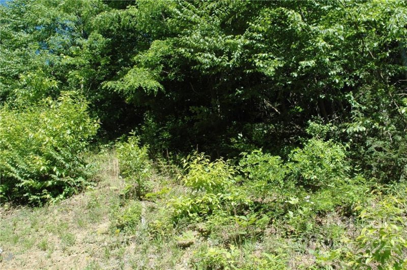 Property image 5 at 0 Deer Trail Drive, Burnsville, NC 28714