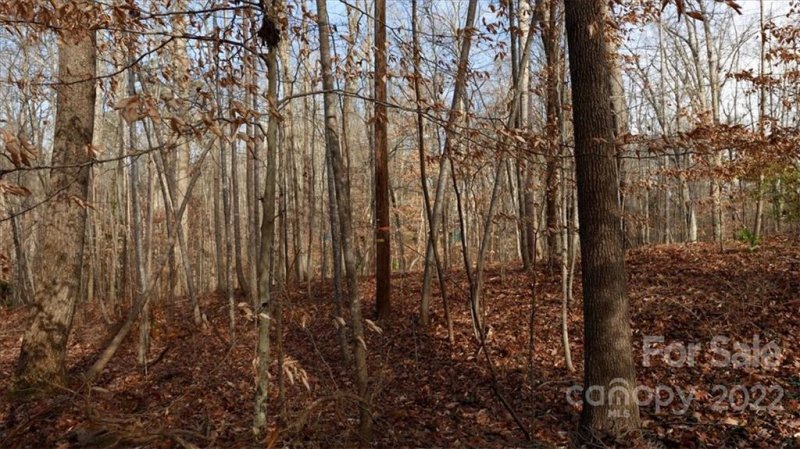 Property image 5 at 10609 E Lake Road, Charlotte, NC 28215