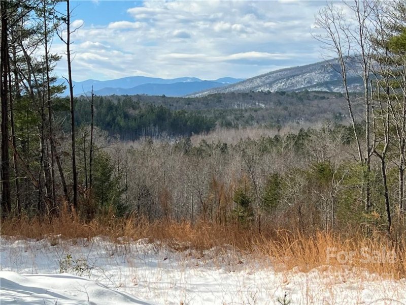 1621 Pisgah Preserve Drive