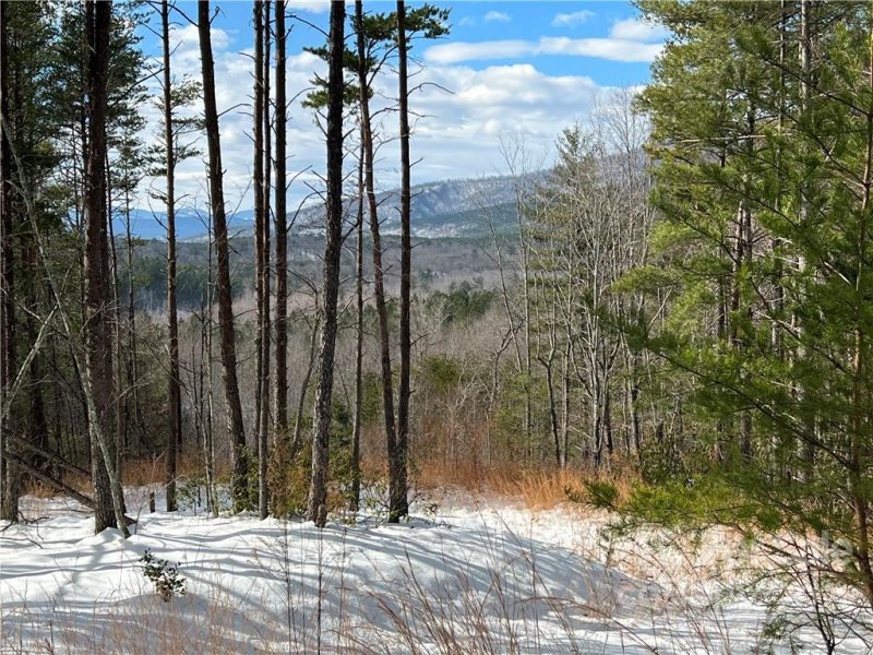 Property image 2 at 1621 Pisgah Preserve Drive, Nebo, NC 28761