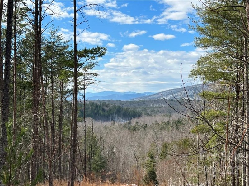 Property image 3 at 1621 Pisgah Preserve Drive, Nebo, NC 28761