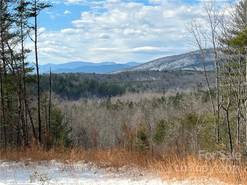 Property image 5 at 1621 Pisgah Preserve Drive, Nebo, NC 28761