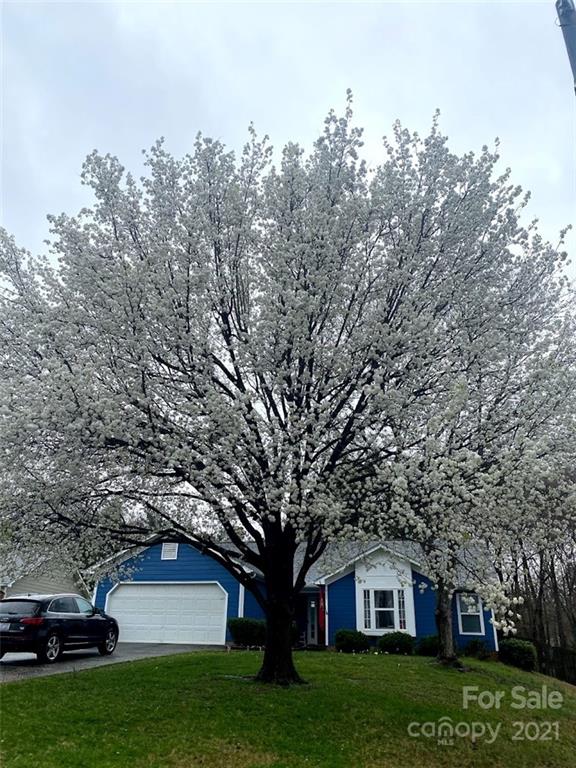 Property image 2 at 8225 Brynmar Drive, Charlotte, NC 28270