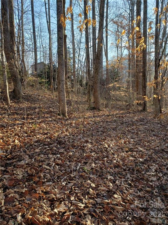 Property image 2 at 40 Twisted Birch Drive, Hendersonville, NC 28792