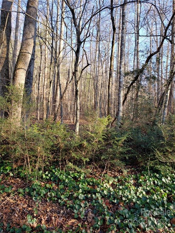 Property image 3 at 40 Twisted Birch Drive, Hendersonville, NC 28792