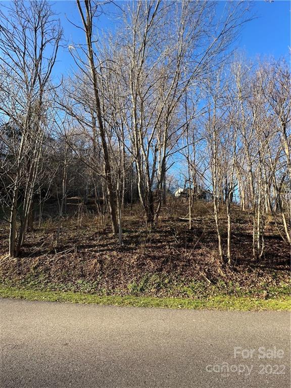 Property image 2 at 000 Ruffed Grouse Lane, Waynesville, NC 28786