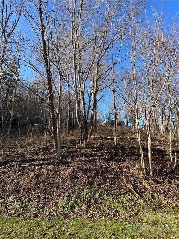 Property image 3 at 000 Ruffed Grouse Lane, Waynesville, NC 28786