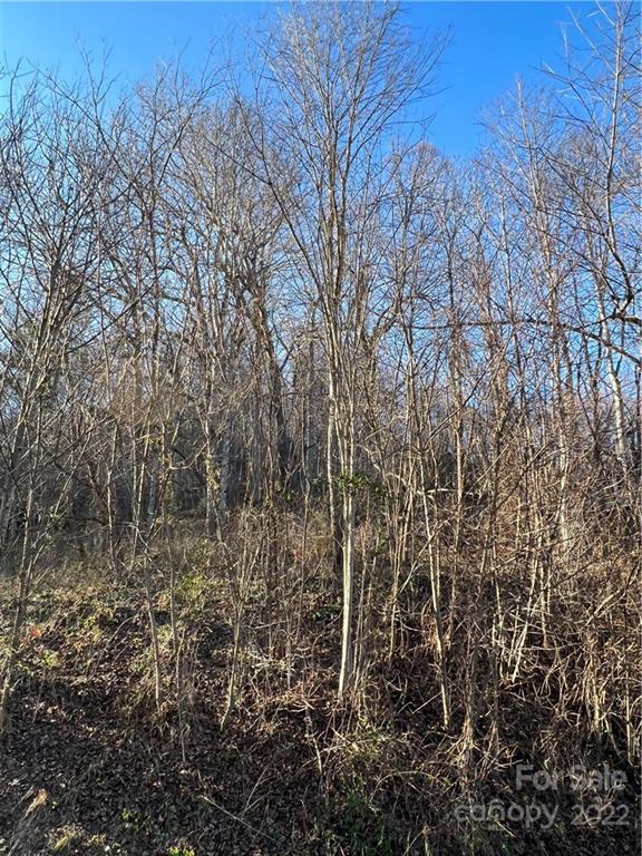 Property image 4 at 000 Ruffed Grouse Lane, Waynesville, NC 28786