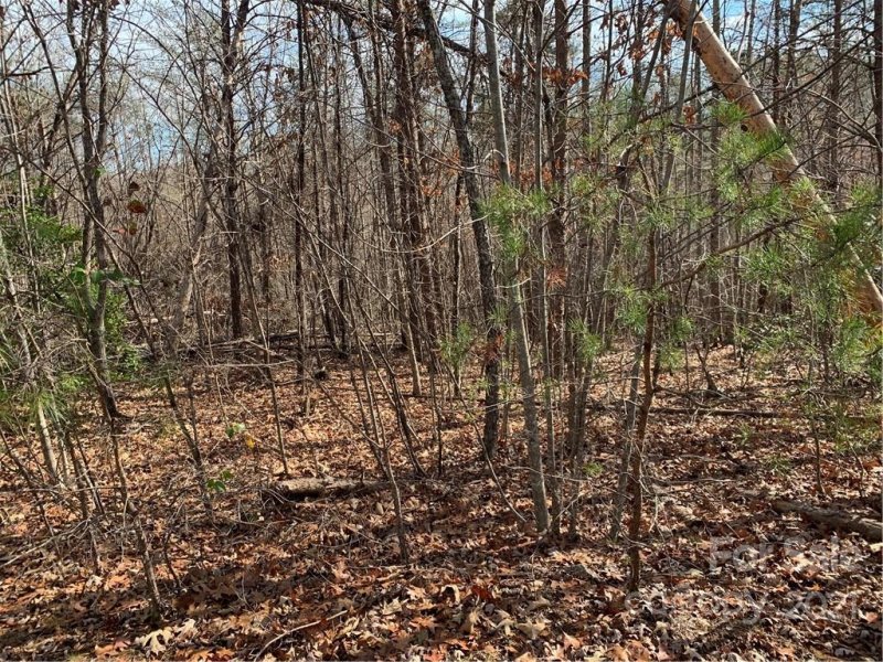 Property image 3 at Lot 30 S Cross Creek Trail, Mill Spring, NC 28756