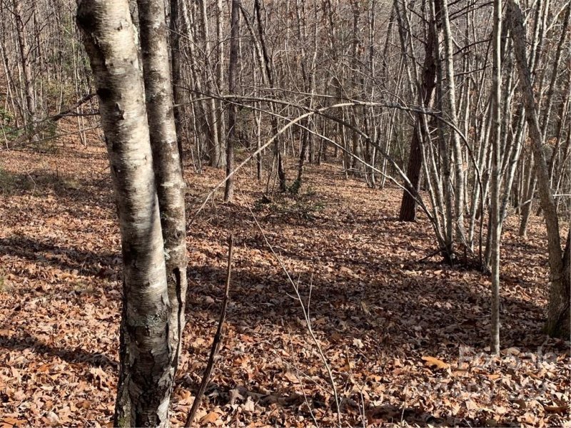 Property image 5 at Lot 30 S Cross Creek Trail, Mill Spring, NC 28756