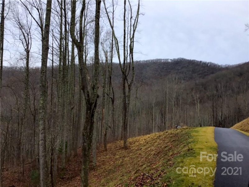 Property image 2 at 1414 Easy Wind Drive, Swannanoa, NC 28778