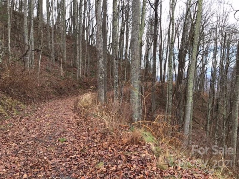 Property image 3 at 1414 Easy Wind Drive, Swannanoa, NC 28778