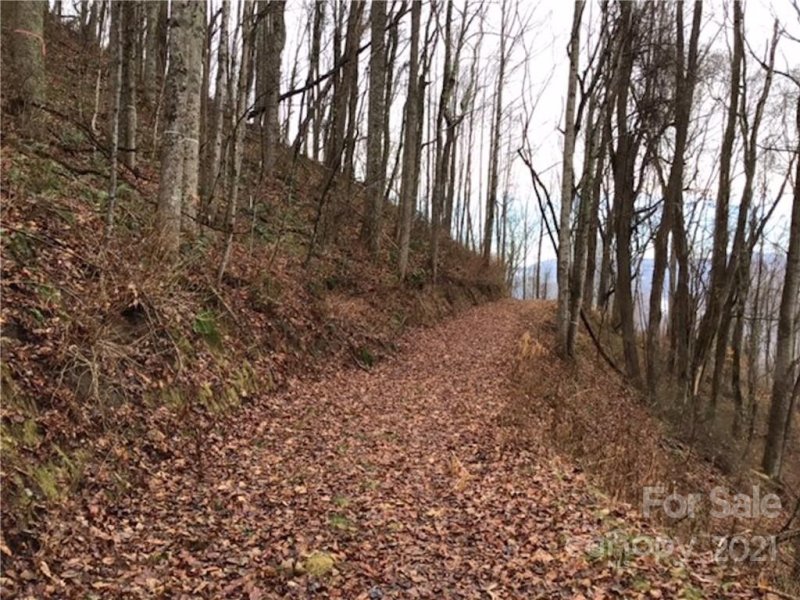 Property image 4 at 1414 Easy Wind Drive, Swannanoa, NC 28778