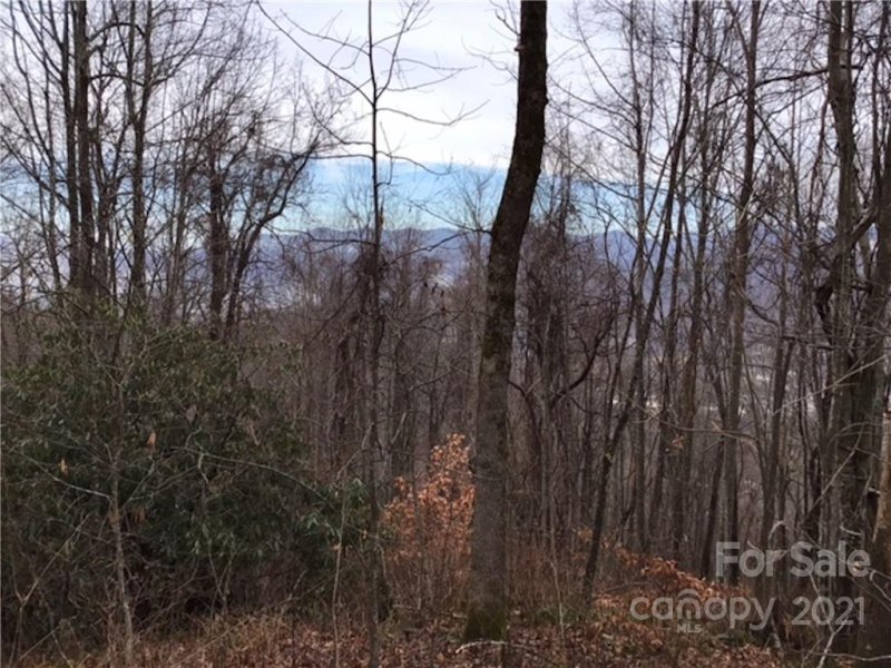 Property image 5 at 1414 Easy Wind Drive, Swannanoa, NC 28778