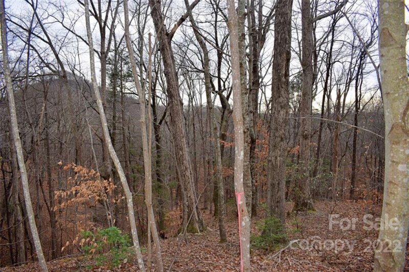 Property image 2 at 0 Hemlock Trail, Columbus, NC 28722