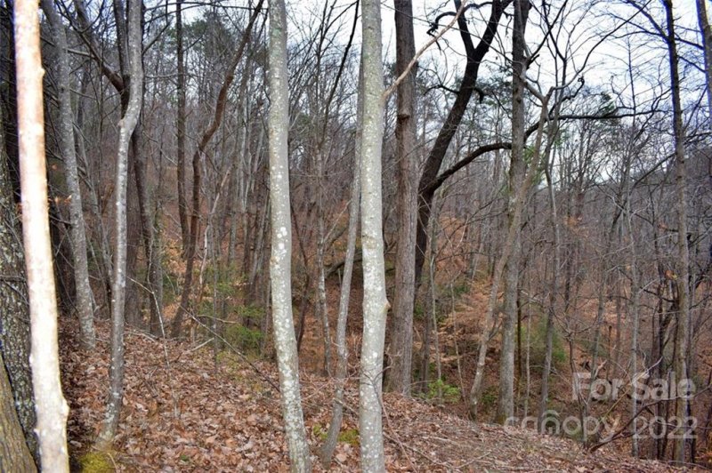 Property image 3 at 0 Hemlock Trail, Columbus, NC 28722