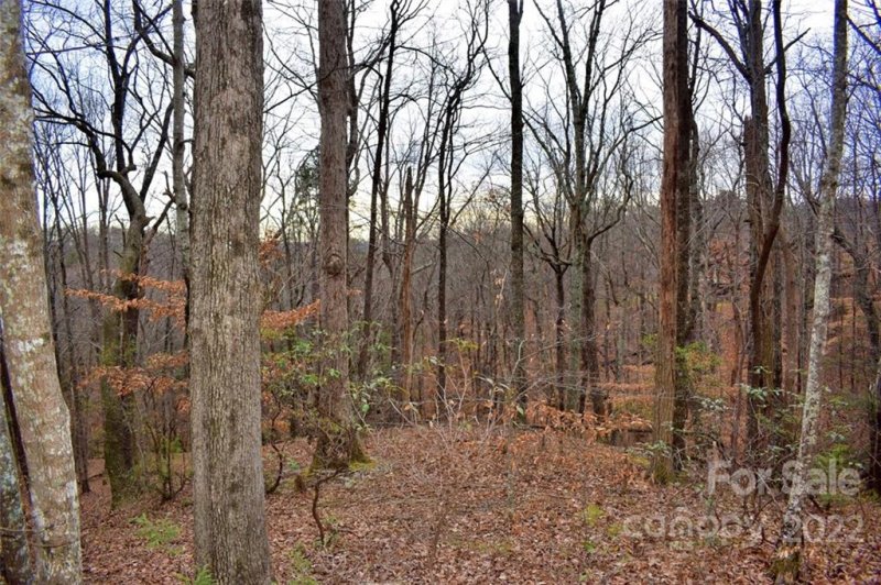 Property image 4 at 0 Hemlock Trail, Columbus, NC 28722