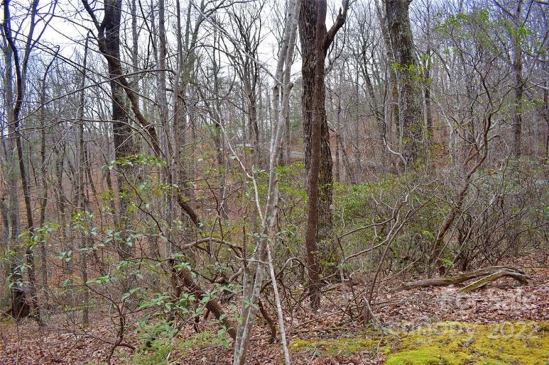 Property image 5 at 0 Hemlock Trail, Columbus, NC 28722