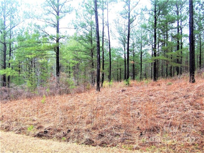 Property image 2 at 108 Cranberry Lane, Mooresboro, NC 28114