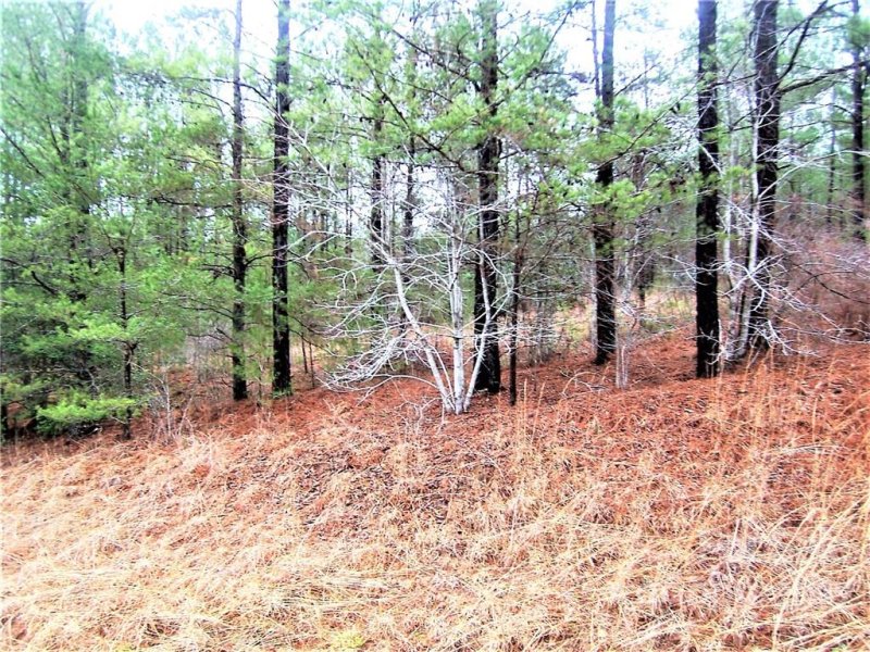 Property image 3 at 108 Cranberry Lane, Mooresboro, NC 28114