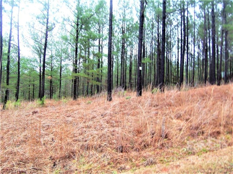 Property image 4 at 108 Cranberry Lane, Mooresboro, NC 28114