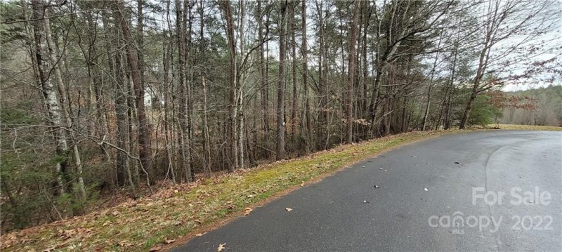 Property image 3 of 35 Settlers Trail in Settlers Cove, Mars Hill, NC 28754