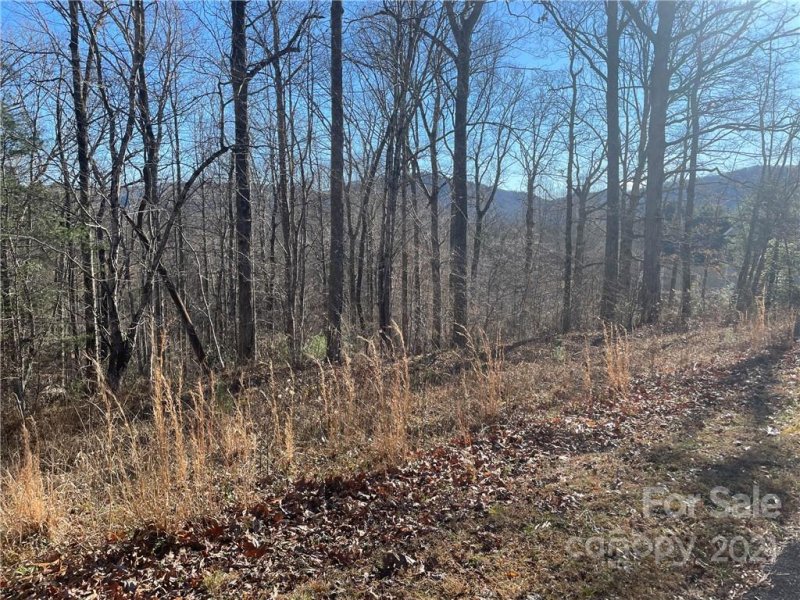 Property image 2 at 999 South Hampton Road, Brevard, NC 28712