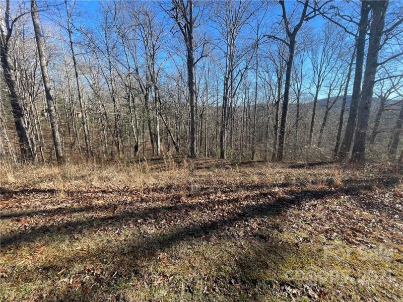 Property image 3 at 999 South Hampton Road, Brevard, NC 28712